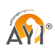 AYI Logo
